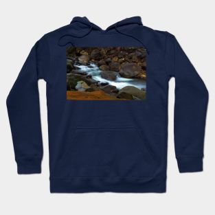 Forest Stream Hoodie